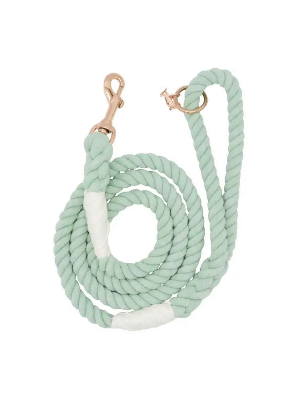 (RGB3) Sassy Woof Mint To Be Braided Rope Dog Leash 5ft Green Gray Rose Gold